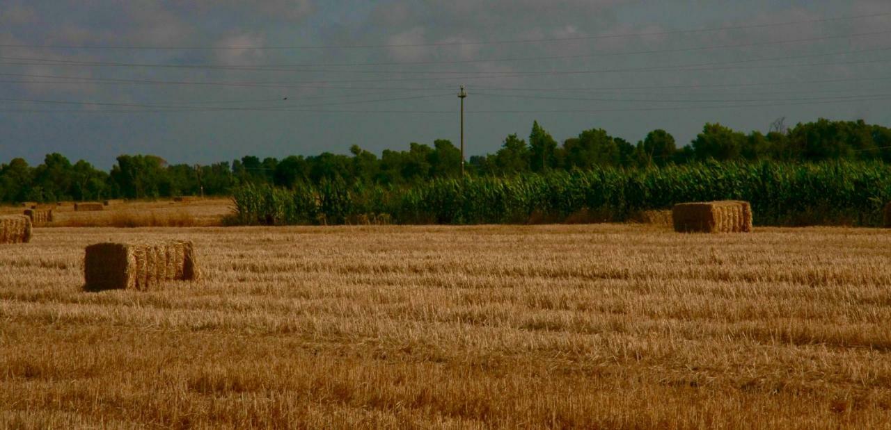 Il Silos Maccarese Exterior foto